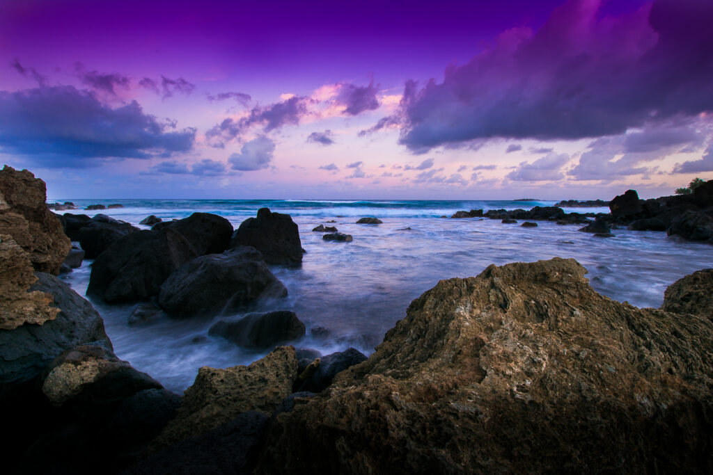 Purple Hawaii
